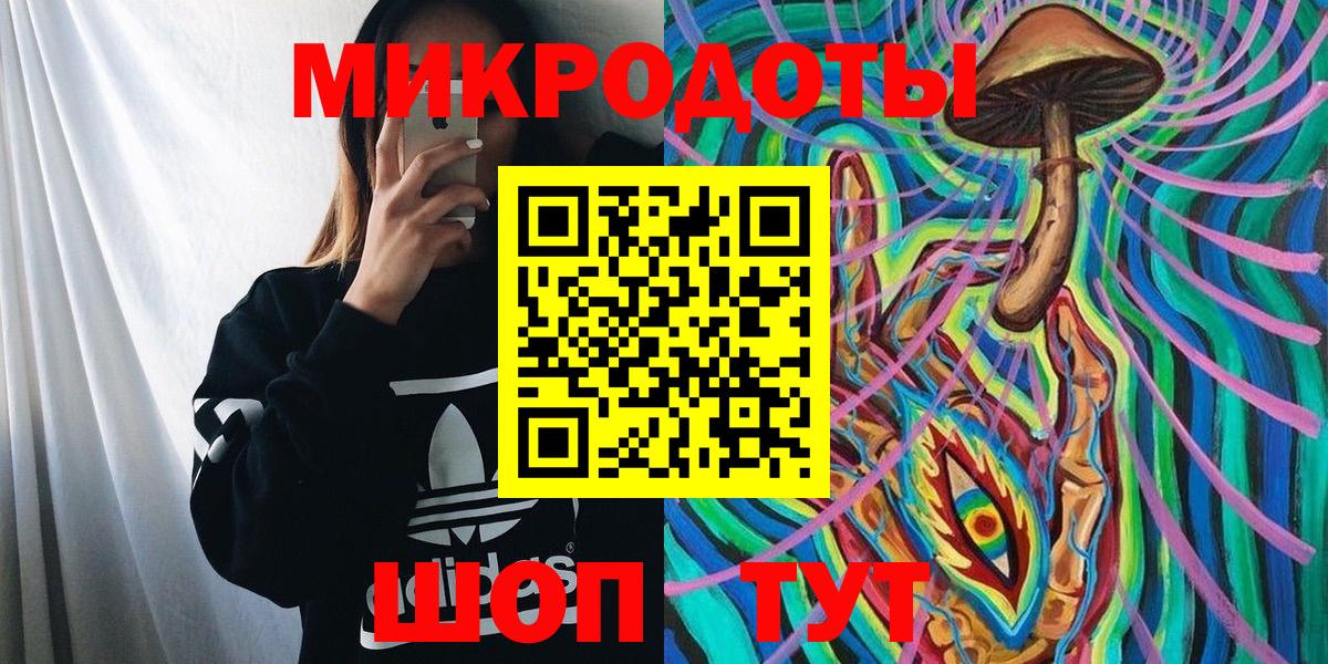 Галлюциногенные грибы Psilocybine cubensis Лысьва