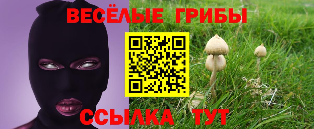 Лысьва  Галлюциногенные грибы мицелий  Вход с VPN 
